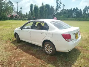 Car Hire and Rental Services
