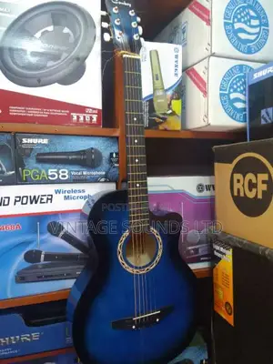 Acoustic Guitar USA