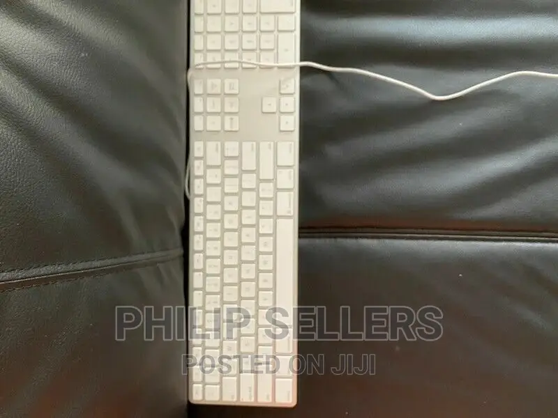 Apple A1243 Aluminum Wired Keyboard - White