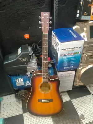 New Fender Semi Acoustic Guitar