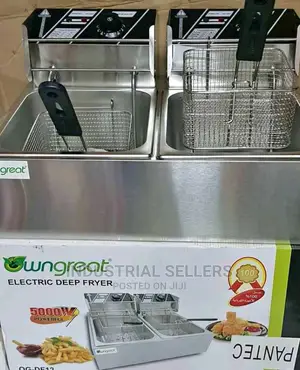 Suitable Double Deep Fryer