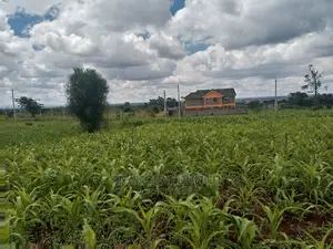 40x80 Plot for Sale Tinganga Anmer Next to Migaa Estate.