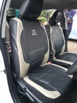 Allion and Axio Car Seat Covers