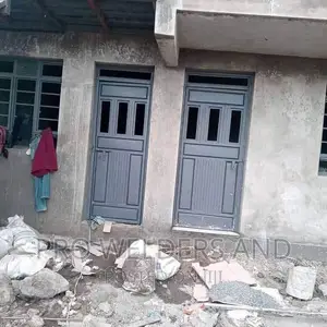 Metal Doors