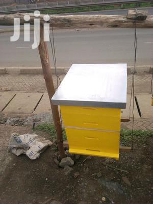 Modern Profitable Honey Bee Hives For Sale
