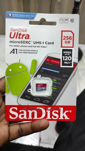 Sandisk Memorycard 256GB