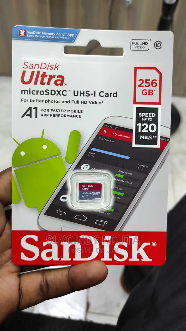 Sandisk Memorycard 256GB