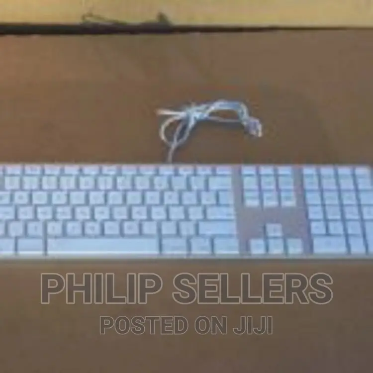 Apple A1243 Ultra Thin Aluminum USB Wired Keyboard With Nume