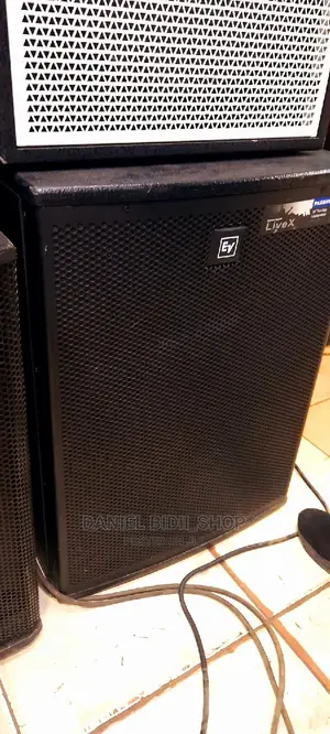 Electro Voice EV Bass Speaker