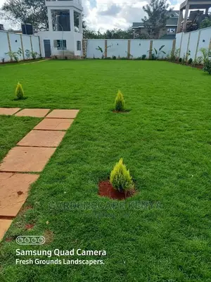 Lawn Care Services