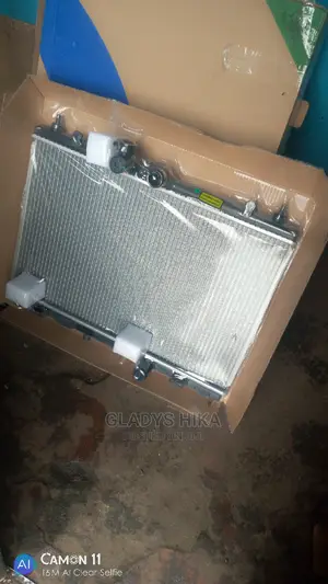 Brand New Radiator for Nissan Blue Bird on Sale