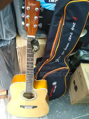 Acoustic Guitar & Padded Bag