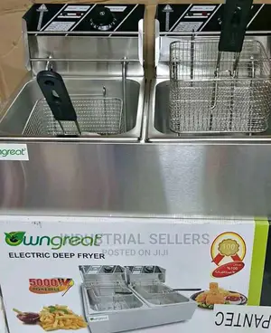 Deep Fryer Double