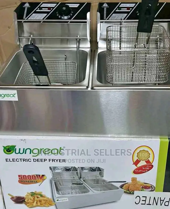 Deep Fryer Double