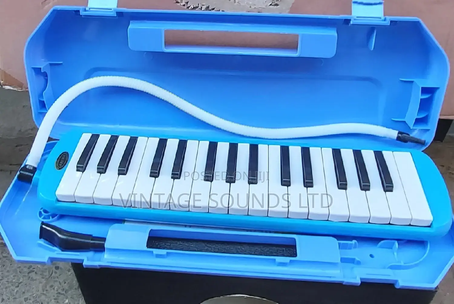 32 Key Melodica Blue Portable With Carrying Bag