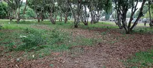 50/100 Plots on Sale Mtwapa