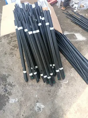 Prado Door Moulding/Weather Strip