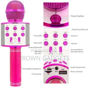 WS 858 Karaoke Microphone Hand Held Bluetooth Speaker