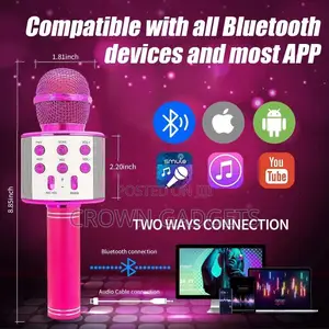 WS-858 Wireless Handheld Microphone Usb Player