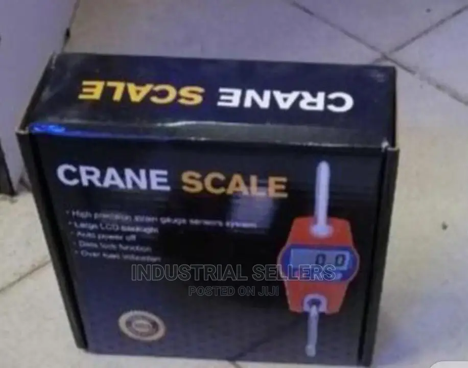 Affordable 300kgs Hook Scale