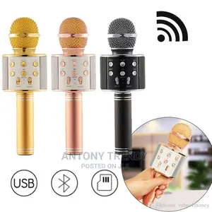 Ws-858 Microphone