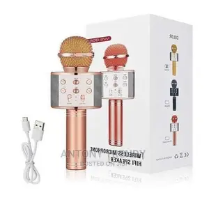 Handheld Mic Hifi Speaker Ws858