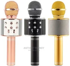Ws-858 Karaoke Mic