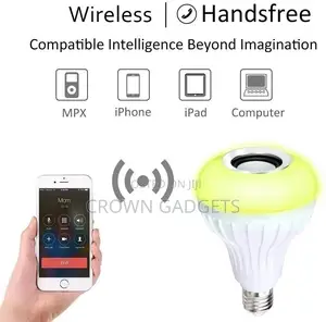 Generic LED Light Bulb