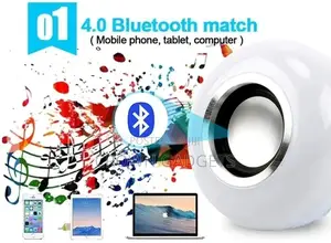 LED Light Bulb With Speaker And Wireless Portable