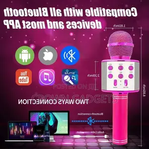 WS 858 Wireless Microphone Professional