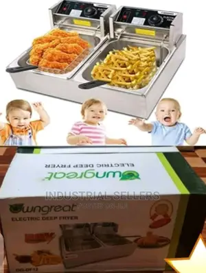 Get Double Deep Fryer