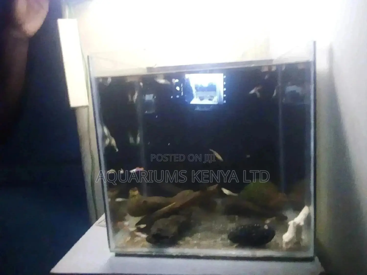Small Home Aquarium.