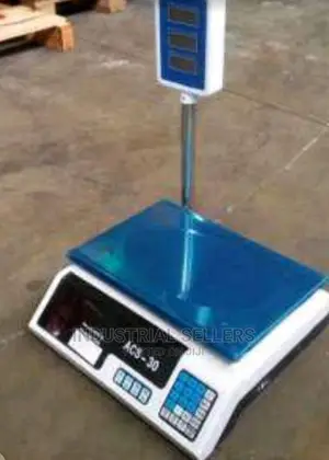 30kgs Price Computing Scale