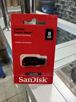 Sandisk Fla