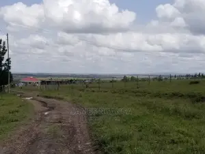 3 Prime Plots Located in Prime Area in Kitengela, Acacia Est
