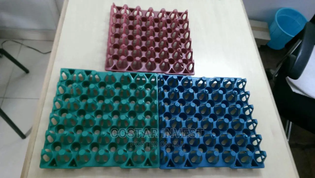 Best Quality Plastic Egg Trays (MINIMUM ORDER 60PCS)
