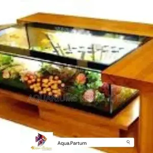 Table Fish Aquarium