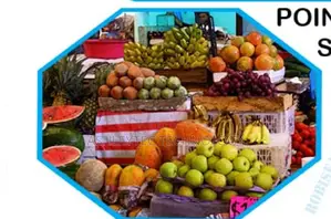 Best Grocery Store POS and Inventory Management Software