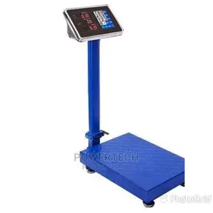 Accurate Weigh Scale -300kg