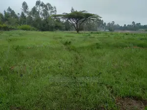 Beautiful 1/2 Acre Plot in Karen for Quick Sale