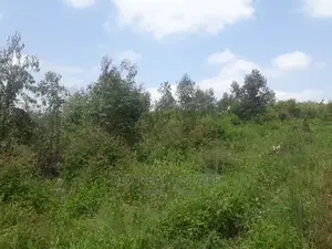 Prime 3.5 Acre Percel in the Dagoretti, Mutuini