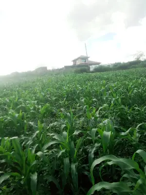 Quarter an Acre on Sale at Kenol-Kimorori