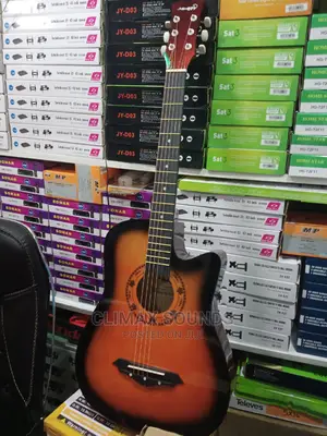 Acoustic Guitarl