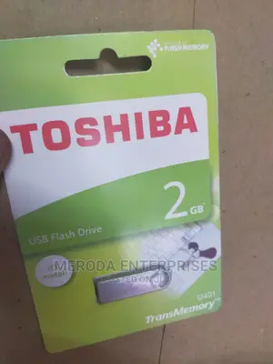 Toshiba 2gb Flash Drive
