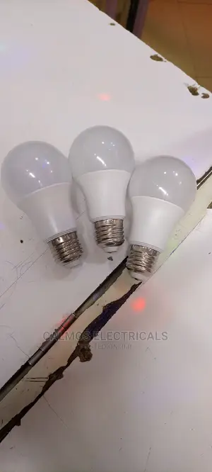 Led/Energy Saver Bulbs