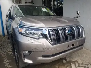 Toyota Land Cruiser Prado 2019 Gray