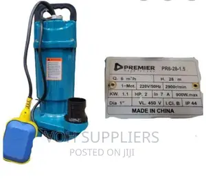 Premier Submersible 2 HP Pump