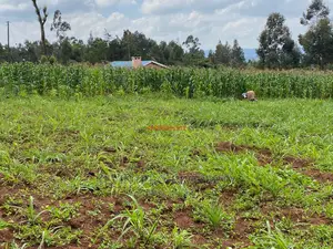 Plot for Sale in Kikuyu, Kamangu.