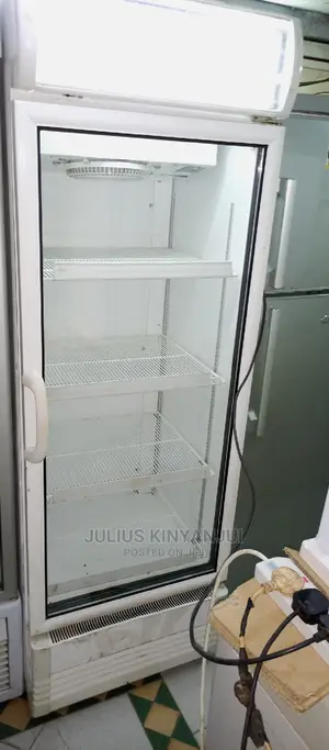 Display Bottle Cooler 450L