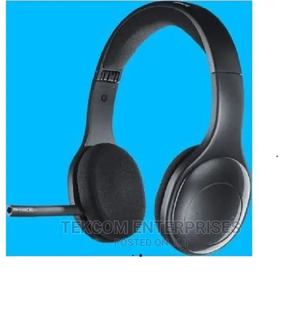 Logitech H800
